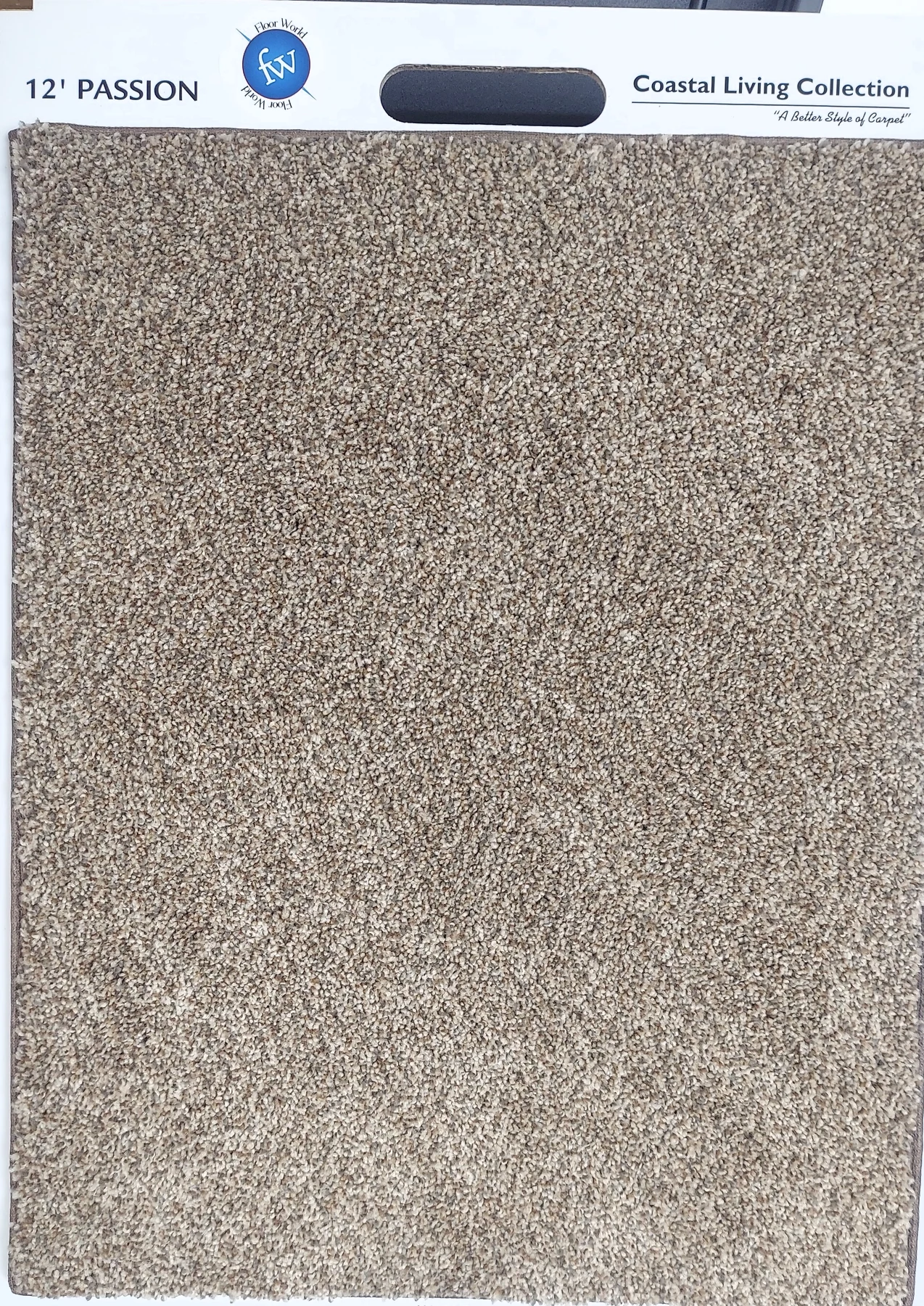 Passion · Carpet · Northwood · Coastal Living · flooring sample photo · Floor World Ephrata PA