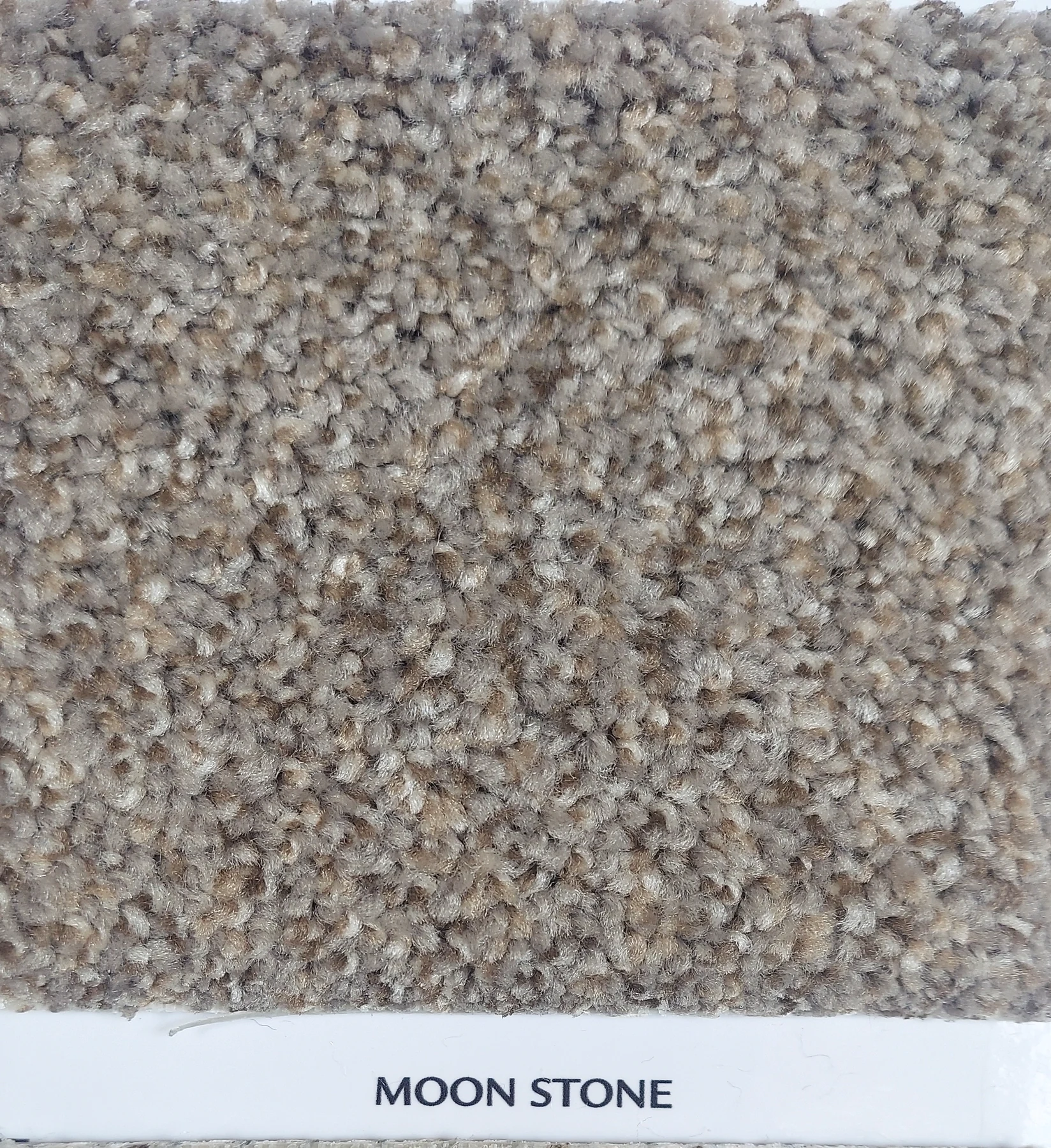 Top Gun II · Carpet · Northwood · Coastal Living · flooring sample photo · Floor World Ephrata PA