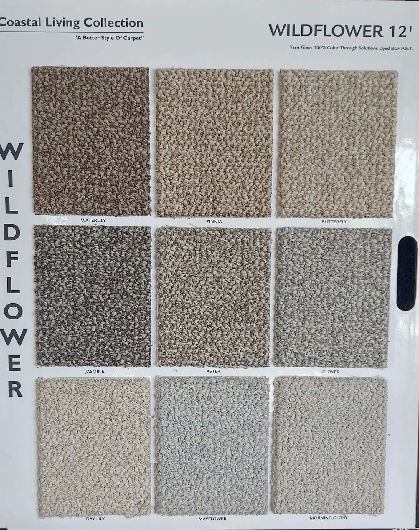 Wildflower · Carpet · Northwood · Coastal Living · flooring sample photo · Floor World Ephrata PA
