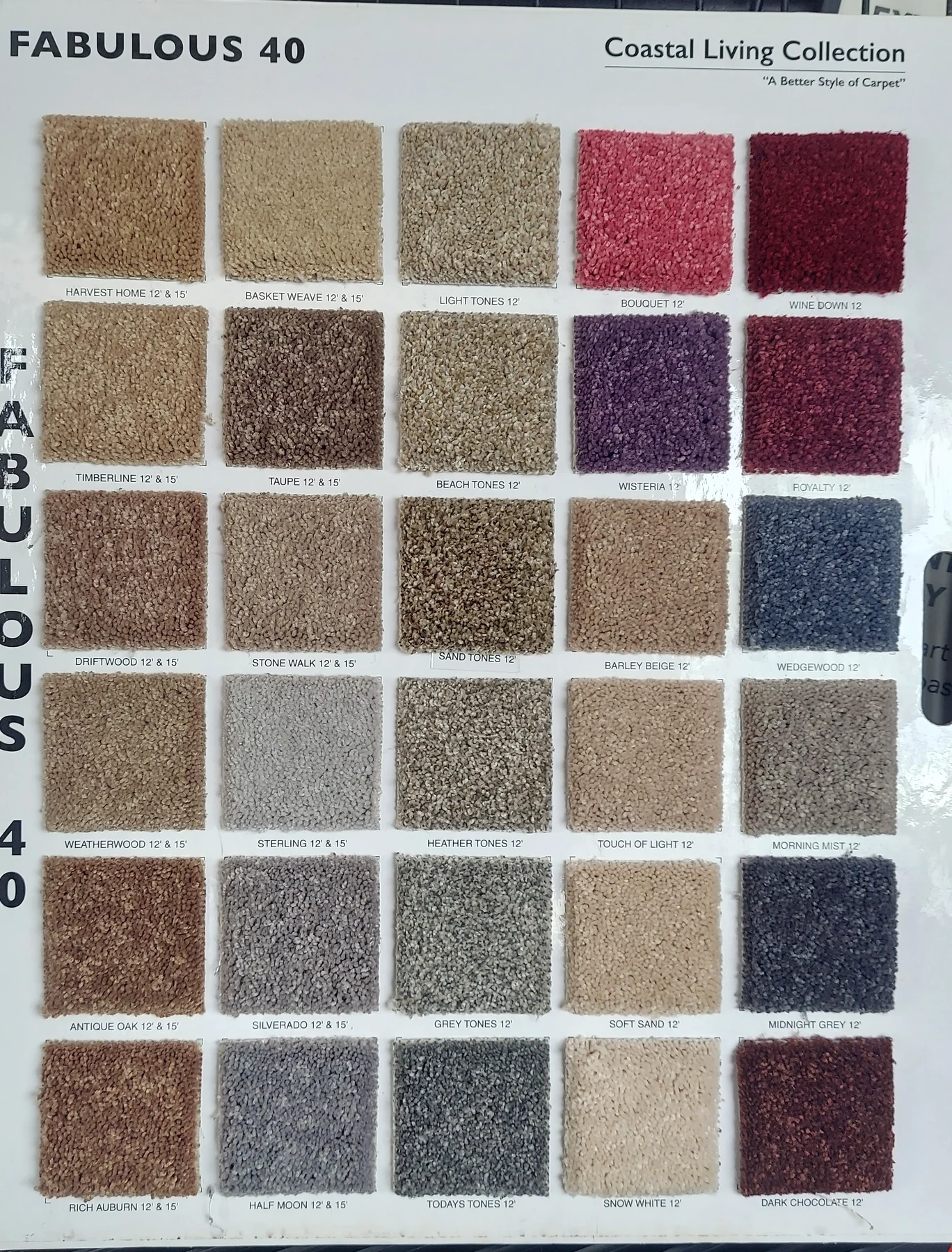 Fabulous 40 · Carpet · Northwood · Coastal Living · flooring sample photo · Floor World Ephrata PA