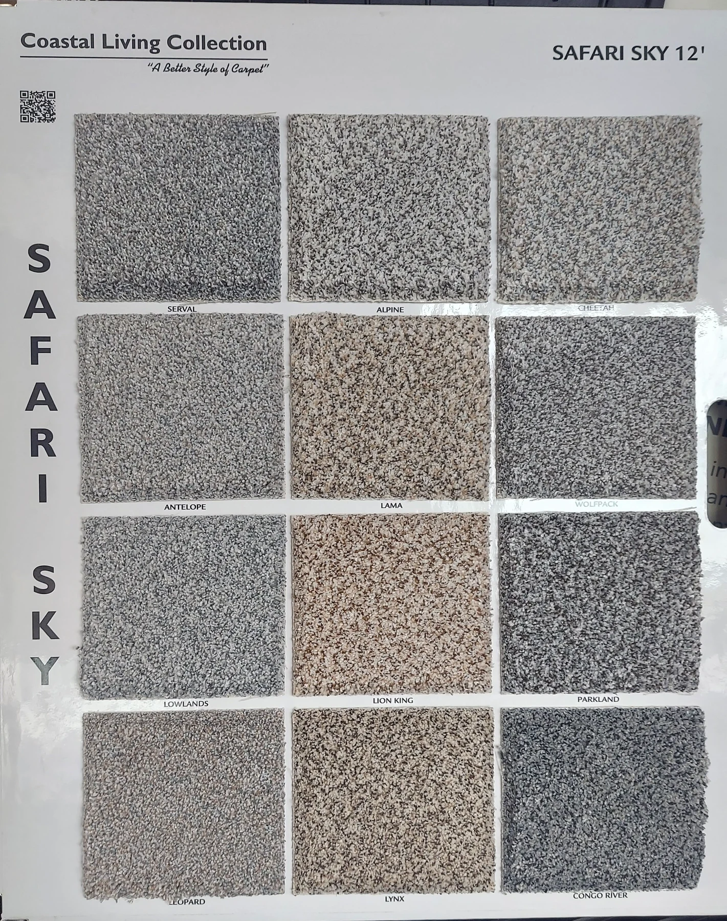 Safari Sky · Carpet · Northwood · Coastal Living · flooring sample photo · Floor World Ephrata PA