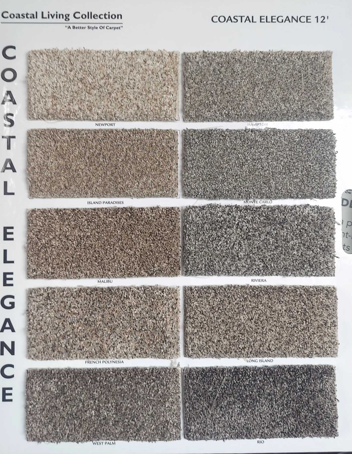 Coastal Elegance · Carpet · Northwood · Coastal Living · flooring sample photo · Floor World Ephrata PA