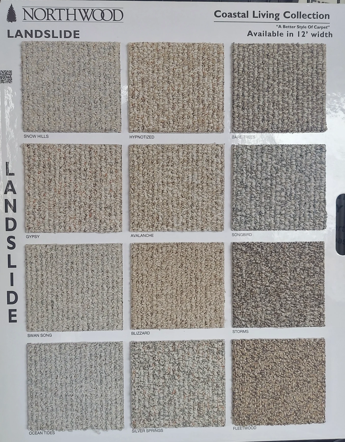 Landslide · Carpet · Northwood · Coastal Living · flooring sample photo · Floor World Ephrata PA