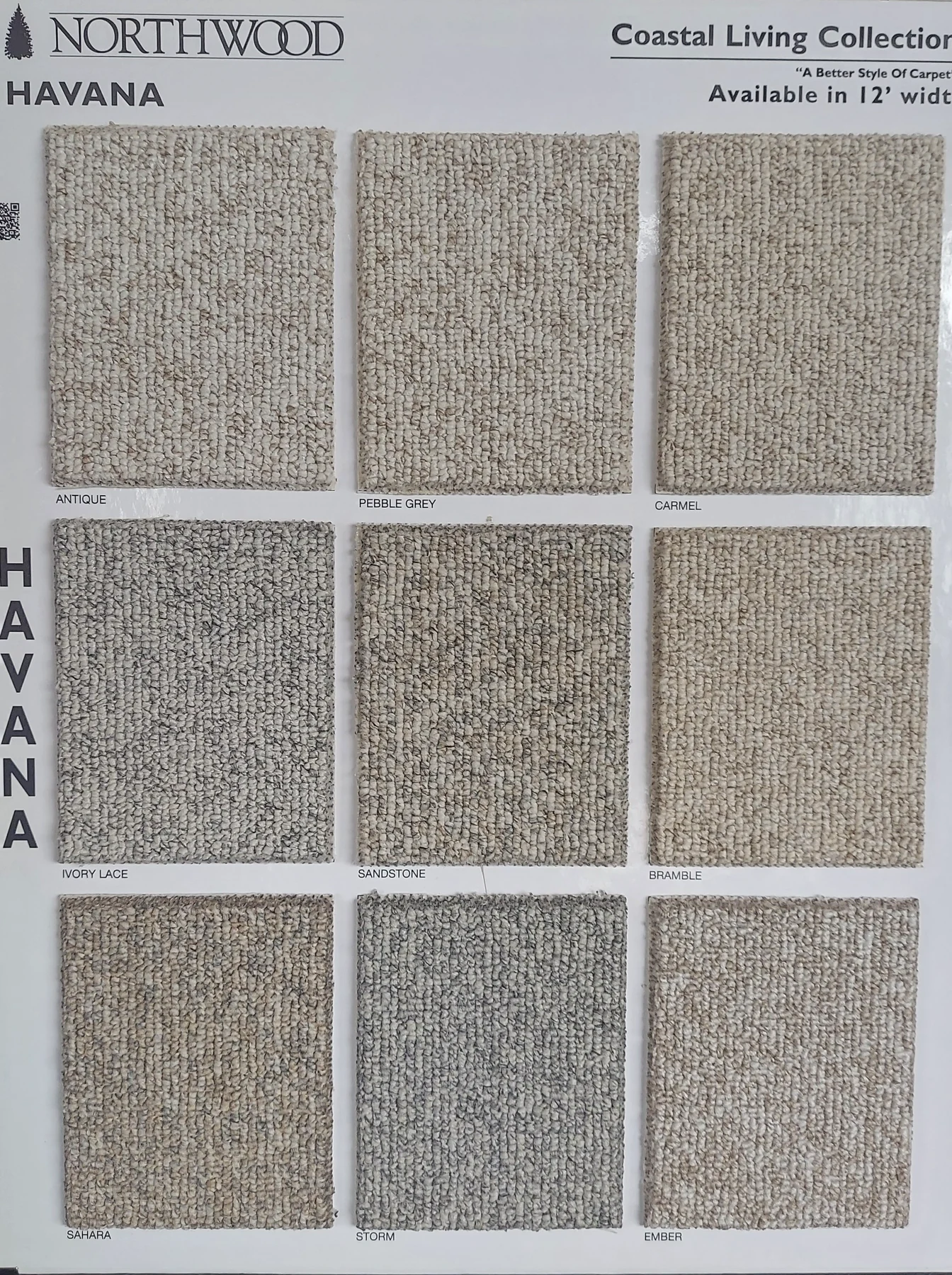 Havana · Carpet · Northwood · Coastal Living · flooring sample photo · Floor World Ephrata PA