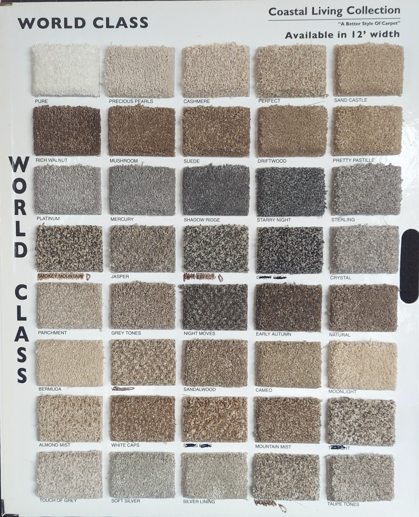World Class · Carpet · Northwood · Coastal Living · flooring sample photo · Floor World Ephrata PA