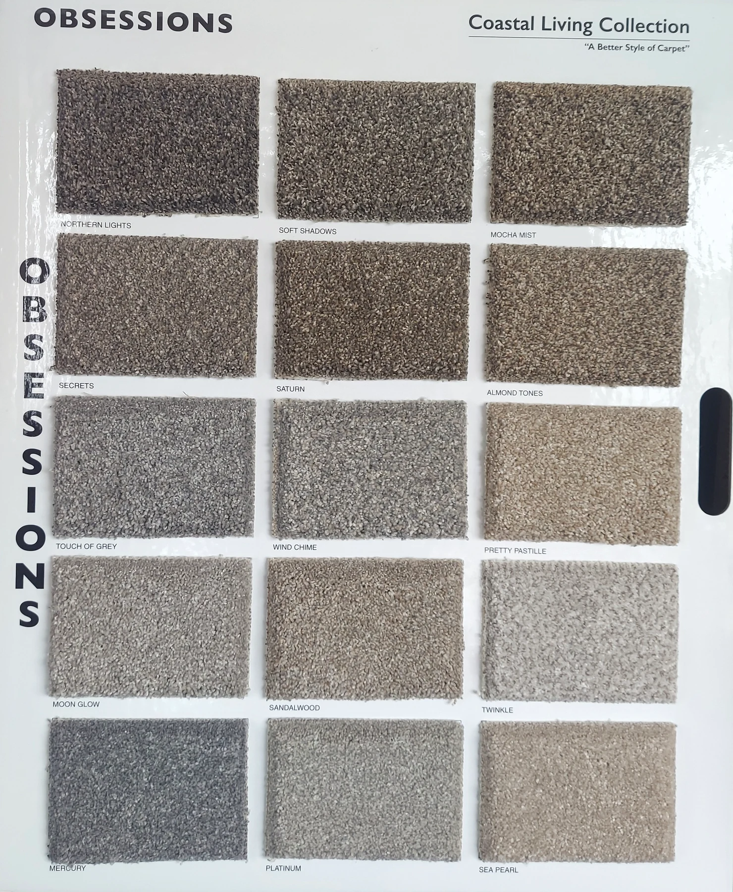 Obsessions · Carpet · Northwood · Coastal Living · flooring sample photo · Floor World Ephrata PA