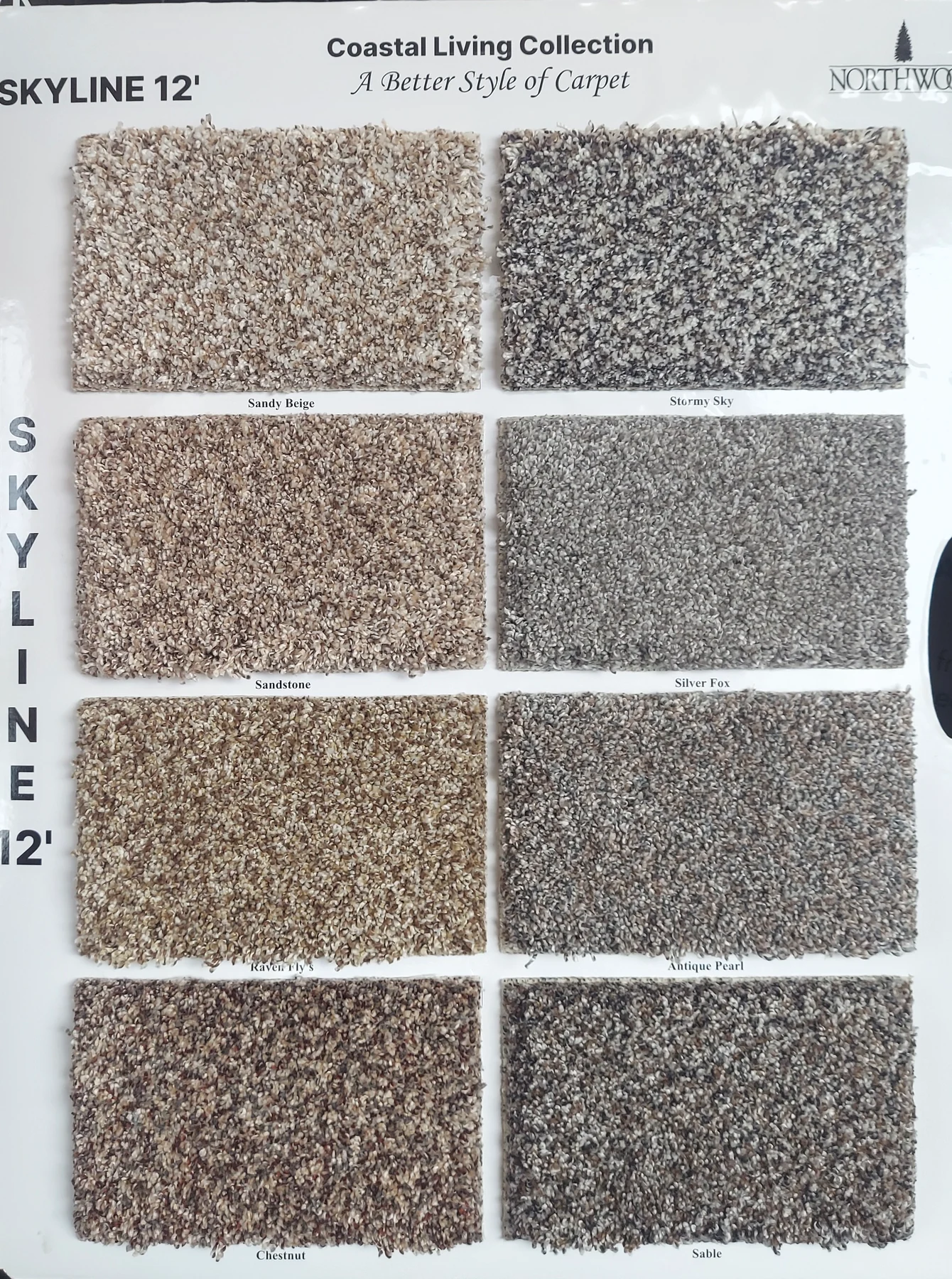 Skyline · Carpet · Northwood · Coastal Living · flooring sample photo · Floor World Ephrata PA