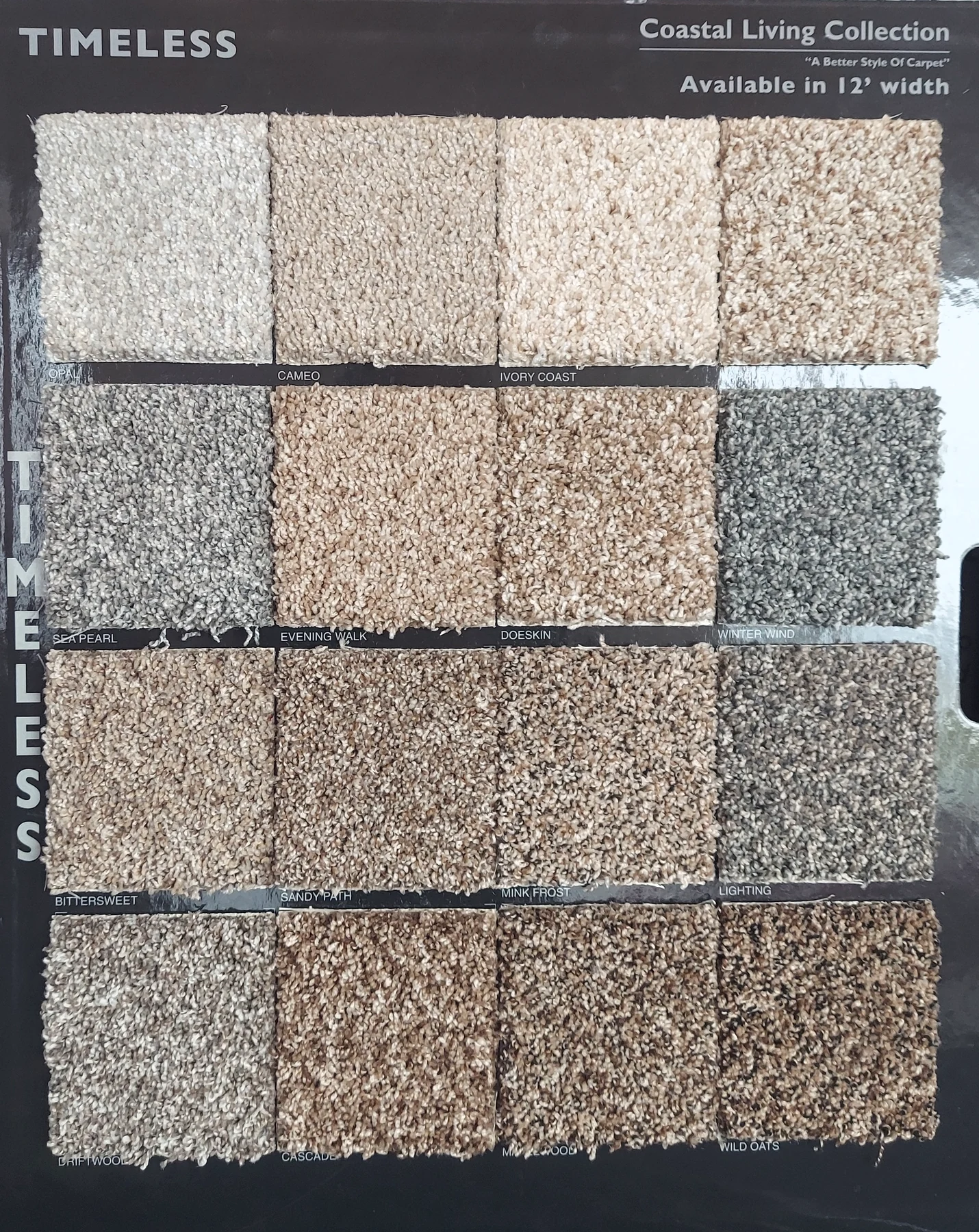 Timeless · Carpet · Northwood · Coastal Living · flooring sample photo · Floor World Ephrata PA