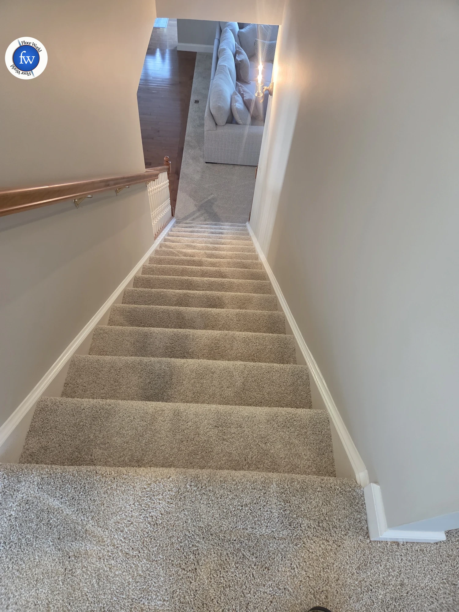 Grand Outlook · Carpet · Shaw · Pet Perfect Plus · installed room photo · Floor World Ephrata PA
