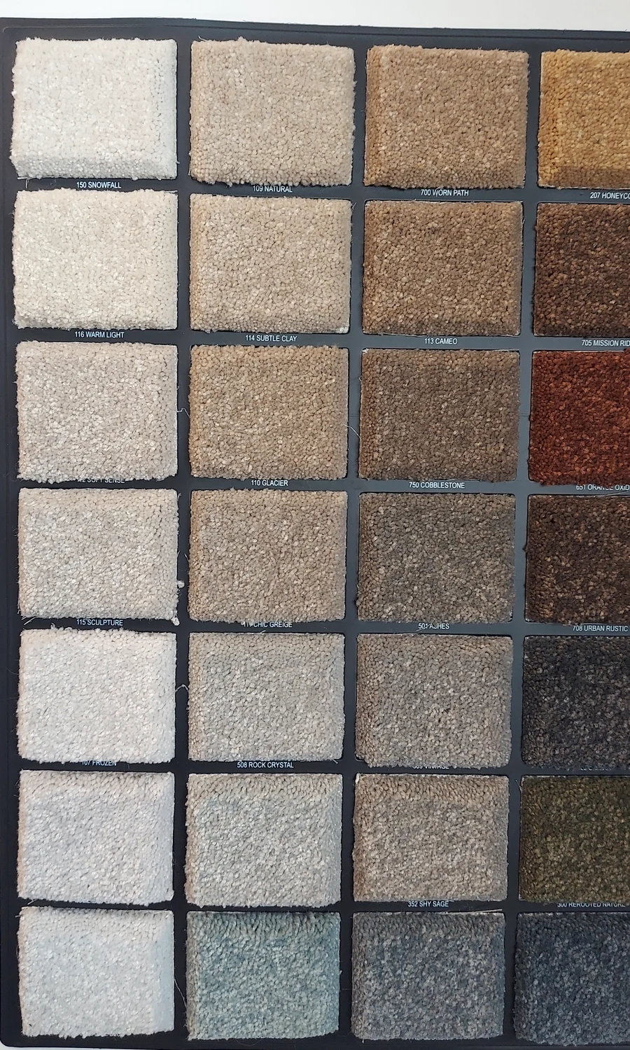 Hard At Play · Carpet · Shaw · Pet Perfect · flooring sample photo · Floor World Ephrata PA
