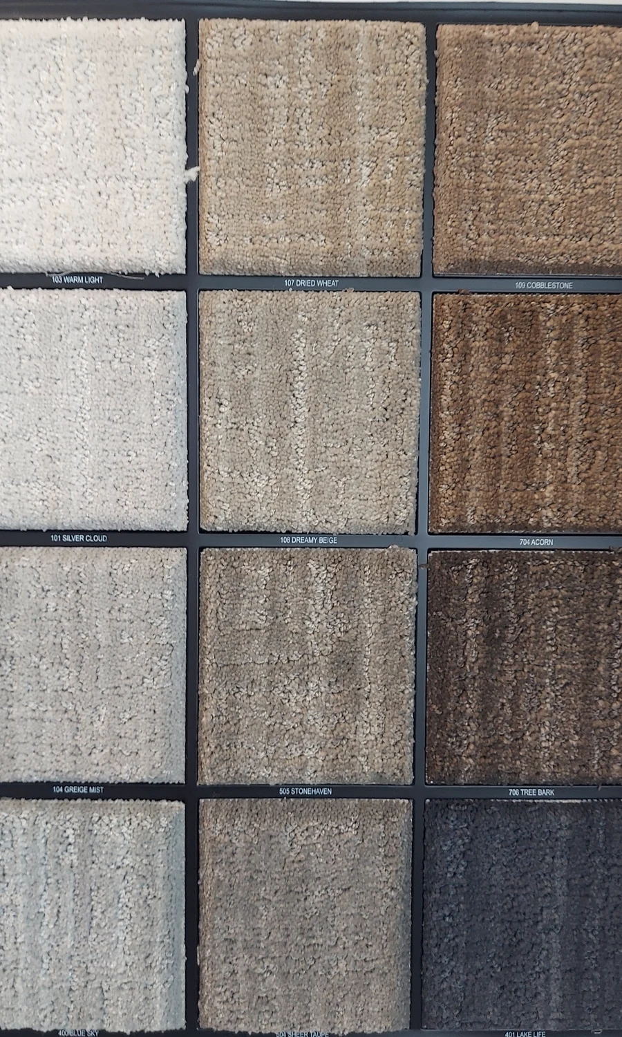 Shady Stroll · Carpet · Shaw · Pet Perfect · flooring sample photo · Floor World Ephrata PA