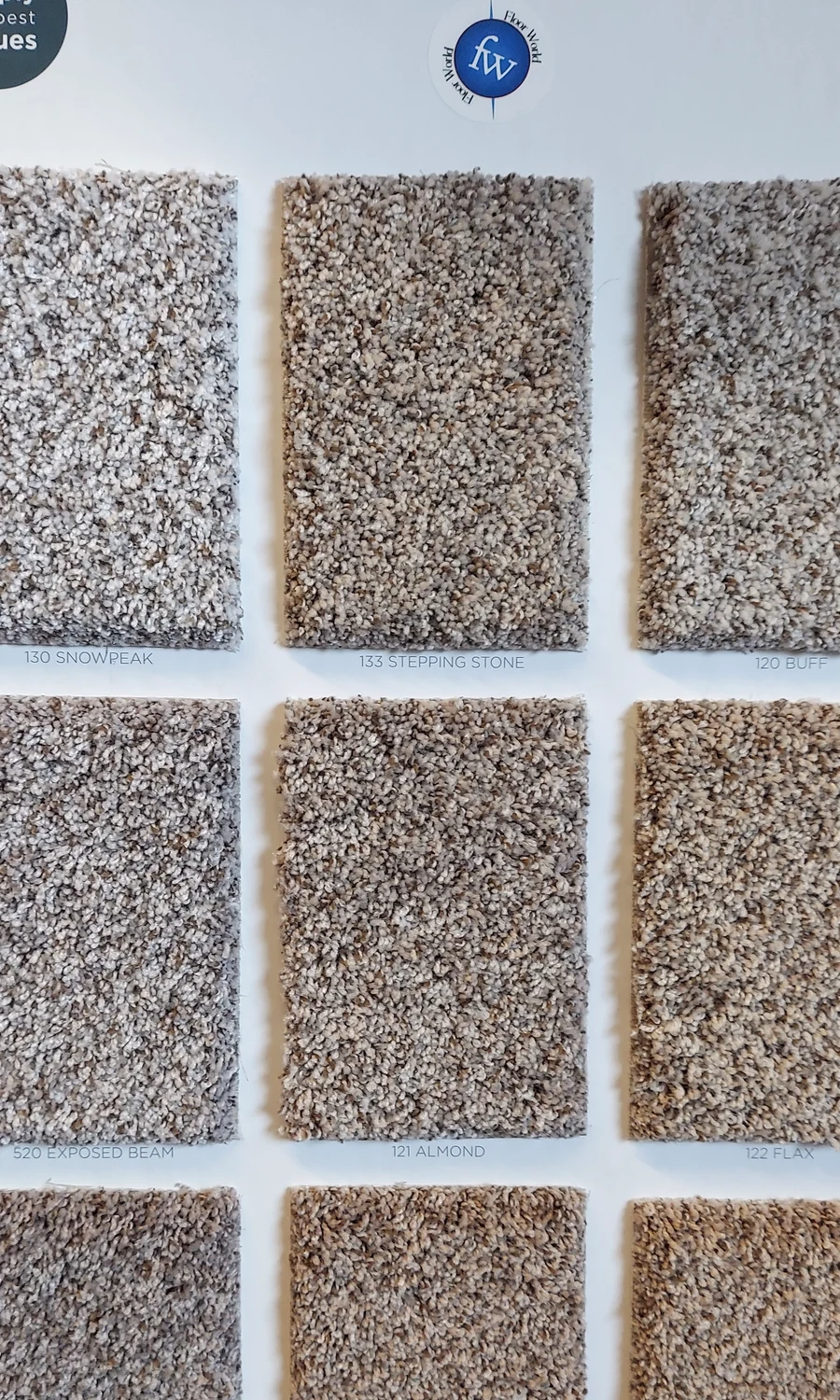 Feelin' Alright · Carpet · Shaw · Simply the Best Values · flooring sample photo · Floor World Ephrata PA